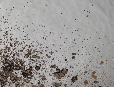 Sospensione - 40x30 - 2001